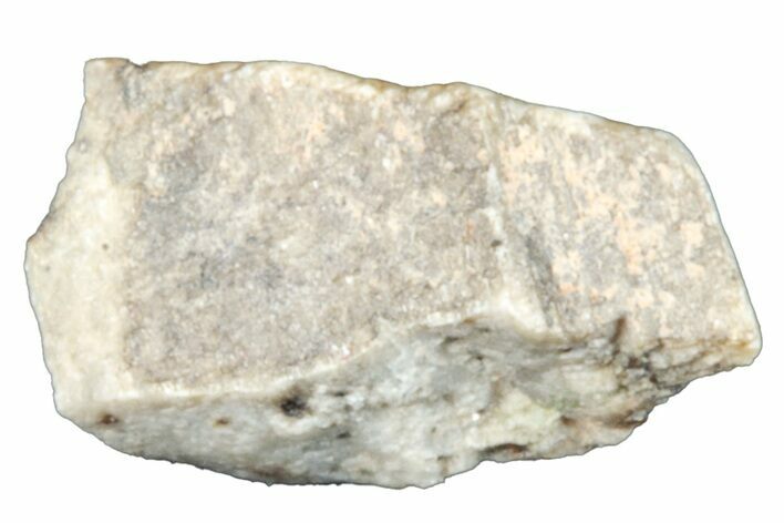 Aubrite Meteorite Fragment - Djoua #283639